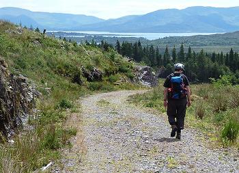 Lomanagh Walk