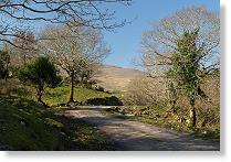 Farm road